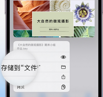 赤水apple维修中心分享iPhone文件应用中存储和找到下载文件