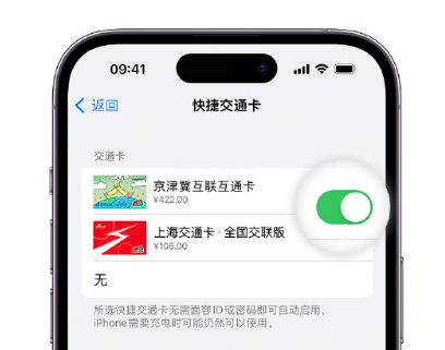 赤水apple维修点分享iPhone上更换Apple Pay快捷交通卡手绘卡面 