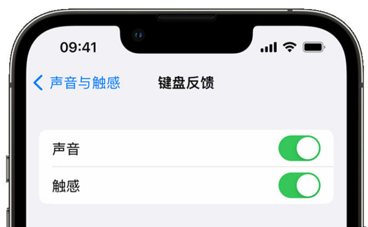 赤水苹果手机维修分享iPhone 14触感键盘使用方法 