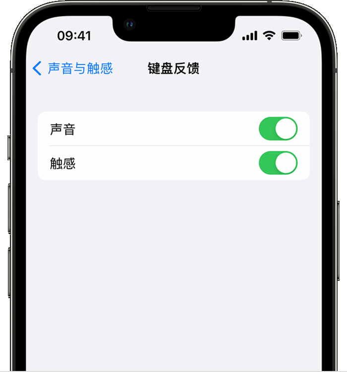 赤水苹果14维修店分享如何在 iPhone 14 机型中使用触感键盘 