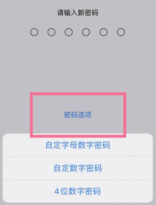 赤水苹果14维修分享iPhone 14plus设置密码的方法 