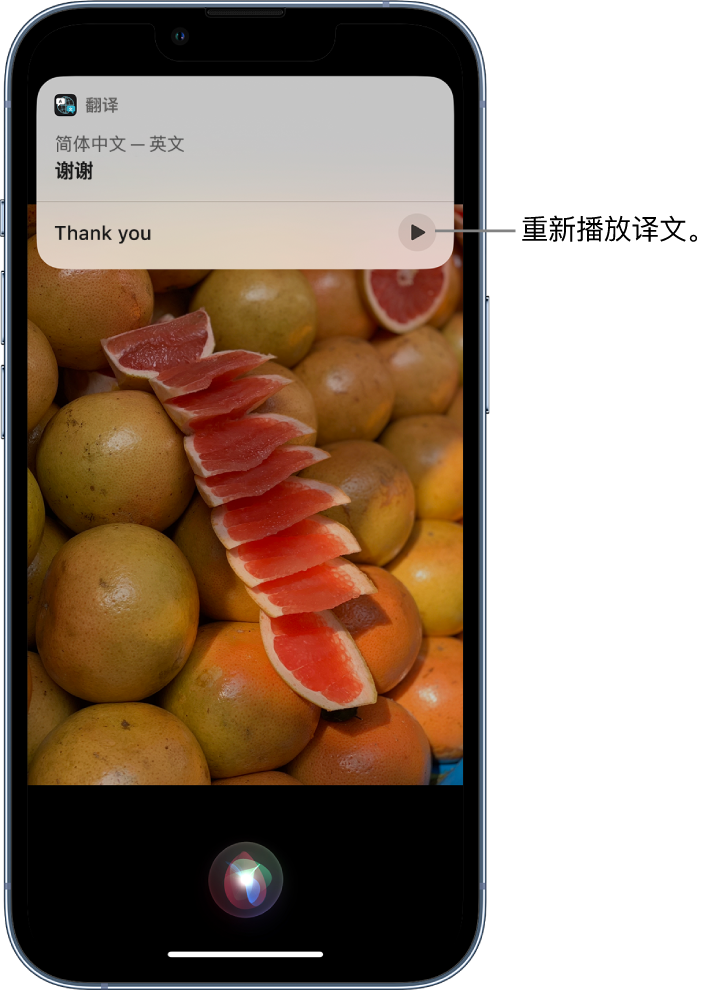 赤水苹果14维修分享 iPhone 14 机型中使用 Siri：了解 Siri 能帮你做什么 