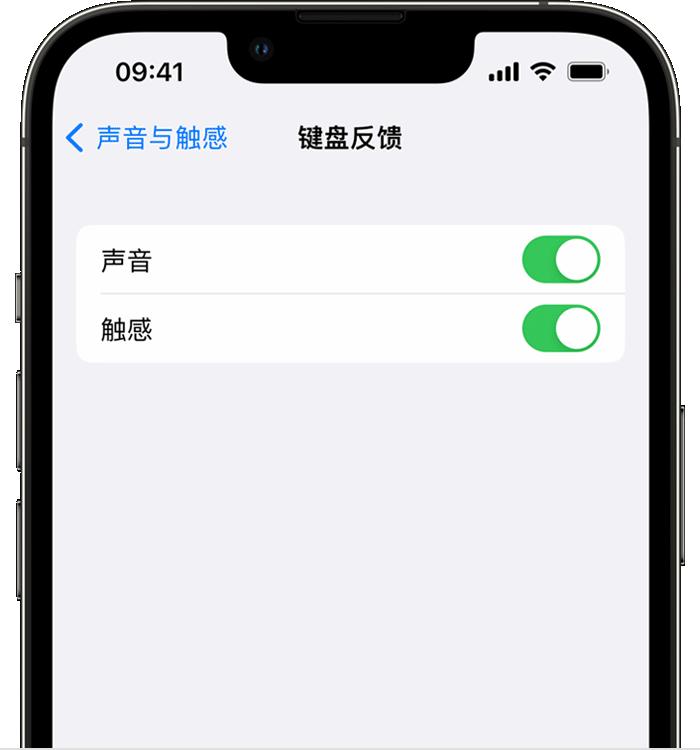 赤水苹果14维修分享iPhone 14 系列机型如何开启键盘声音或触感反馈 