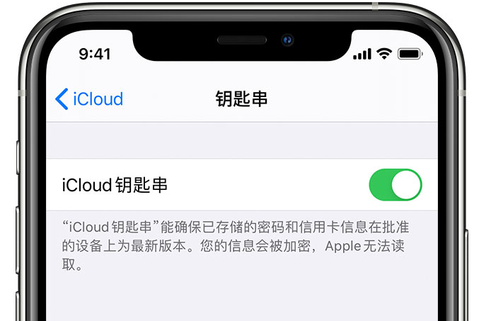 赤水苹果手机维修分享在 iPhone 上开启 iCloud 钥匙串之后会储存哪些信息 