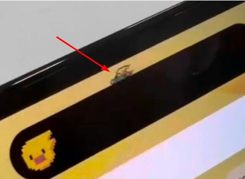 赤水苹果14维修分享iPhone 14 Pro Max灵动岛怎么养宠物 