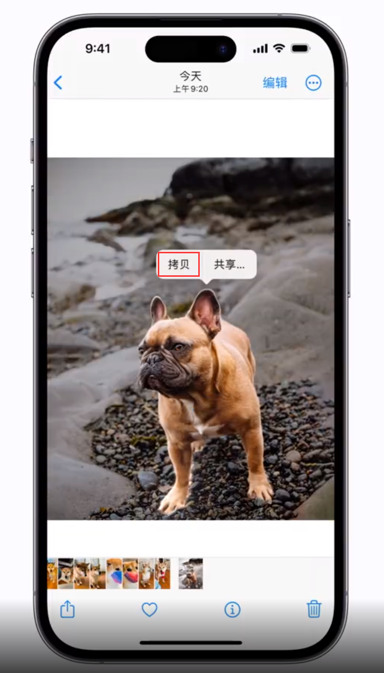 赤水苹果手机维修分享 iOS 16 自带一键抠图功能 