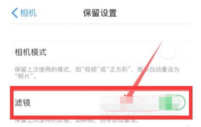 赤水苹果13维修分享iPhone13拍照有绿点是怎么回事 