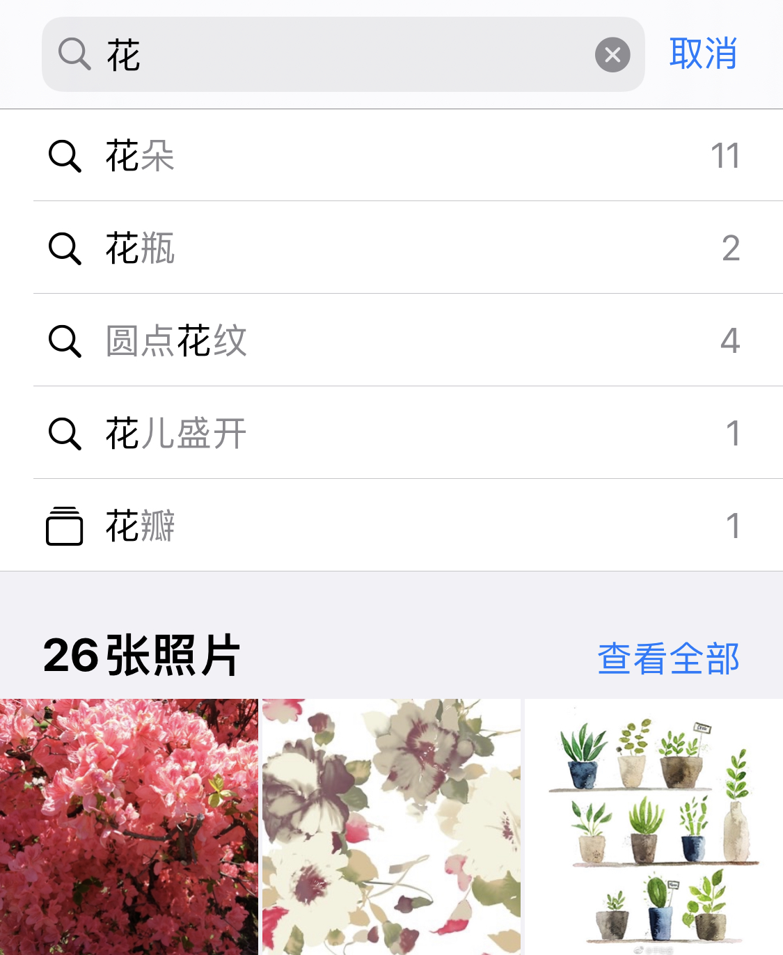 赤水苹果手机维修分享iPhone 小技巧 