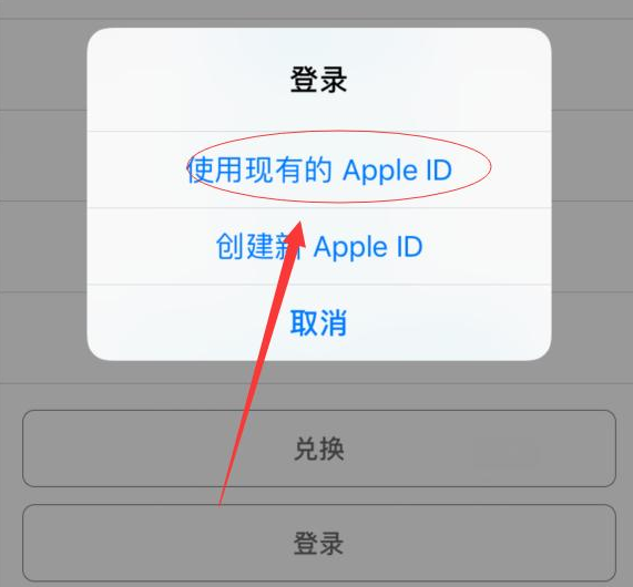 赤水苹果手机维修分享两台iPhone设备可以同时登录一个Apple ID吗 